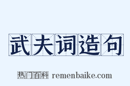 武夫词造句是什么意思的图片